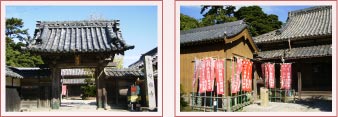 日間賀島 安楽寺